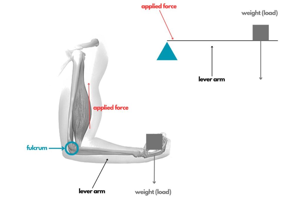 Lever work visualize