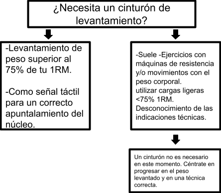 Necesita Un Cinturón Elevador Explicación